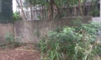 Imagem: GALPÃO - VILA MASCOTE - SP