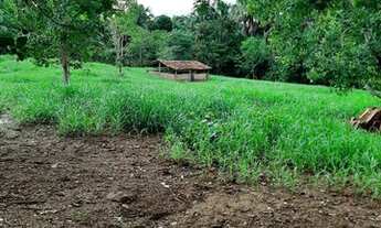 Imagem 5: FAZENDA À VENDA EM DUERE - TO - 435.6 HECTARES (DUPLA APTIDÃO