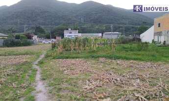 Imagem 5: Terreno à venda, 3912 m² por R$ 2.070.000,00 - Praia de Fora - Palhoça/SC