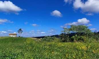 Imagem 4: Chacara na Lapa 2 alqueires