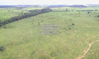 Imagem 6: 123 Alqueires pecuária e Lavoura