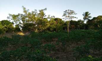 Imagem 6: Linda chácara com estrutura e excelente casa. Leia o anúncio