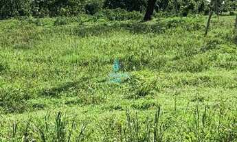 Imagem 4: Crixás - Fazenda - Zona Rural