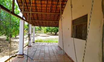 Imagem 4: Granja com 3,5 em caiana na estrada de muriú, bom para loteamento,beira de pista