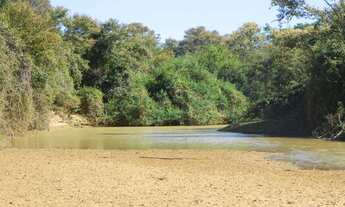 Imagem 16: 1554 ha. Solar. Eólica. Gado. Irrigação. Rio São Francisco. Oportunidade.