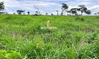 Imagem 7: Fazenda de 32.3 alqueires, 50 km de Palmas