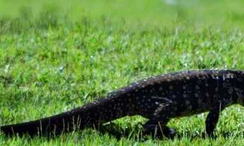 Imagem 3: Belíssimo terreno no Condomínio Ilha do Sol