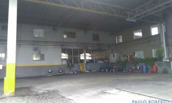 Imagem 3: GALPÃO - NOVA GERTI - SP