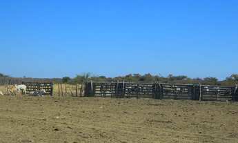 Imagem 13: 1554 ha. Solar. Eólica. Gado. Irrigação. Rio São Francisco. Oportunidade.