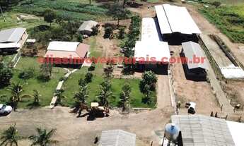 Imagem 2: Fazenda 11,26 alqueires - Pecuária leiteira - Uberlândia