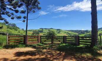 Imagem: Sítio a Venda em Bueno brandão