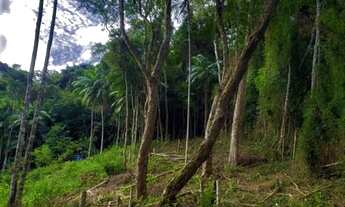 Imagem 2: TERRENO TERESÓPOLIS PRATA