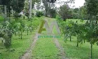 Imagem 2: Fazenda à venda no bairro Centro - Nazaré/BA