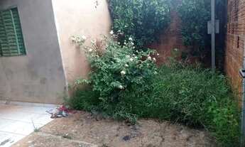 Imagem 5: Imóvel localizado na cidade de Buritis/MG