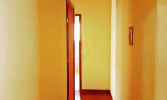 Imagem 7: Araçatuba - Casa - Guanabara