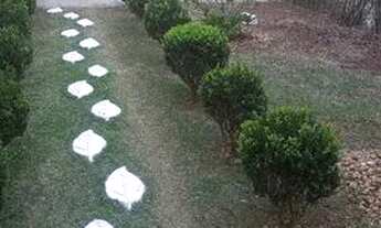 Imagem 5: Casa Sobrado em Pirituba - São Paulo