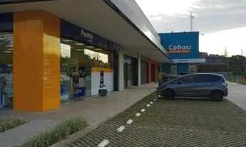 Imagem 5: Loja para Locação/Aluguel - 185m², 0 dormitórios, Pedra Redonda