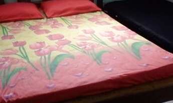 Imagem 6: Kits-nets mobiliadas em Mosqueiro, Semana Santa, Tiradentes, Dia do Trabalho, Julho