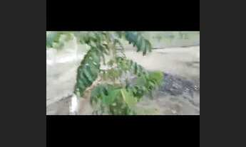 Imagem 3: Terreno plano Terreno / lote com venda por R$5.000