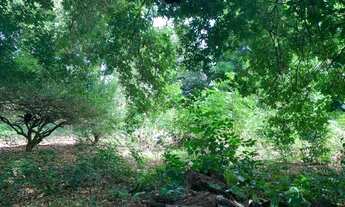 Imagem 4: Terreno à venda, 5200 m² por R$ 1.700.000,00 - Lagoa Redonda - Fortaleza/CE