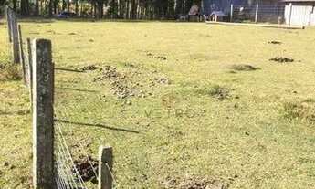 Imagem 2: Terreno na Barragem do Salto em São Francisco de Paula!