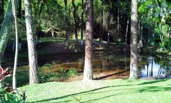 Imagem 2: Vendo Sitio 54.000 m² Com Renda - Aceito Permuta