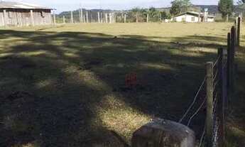 Imagem 3: Terreno na Barragem do Salto em São Francisco de Paula!