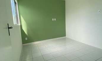 Imagem 6: Veredas do Sol - Sombra - Ponto Novo