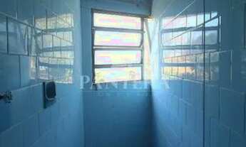 Imagem 6: Imóvel comercial ou residencial em ótima localização!