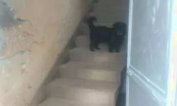 Imagem 4: Vende-se casa Casa com 3 dormitórios