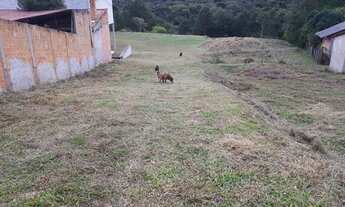 Imagem 2: Vende-se área 51mil MT com barracão em quatro barras 490 MT