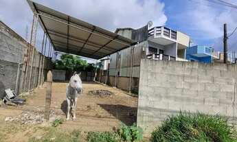 Imagem 4: Alugo Galpão 10x20 Coberto Rio da Prata