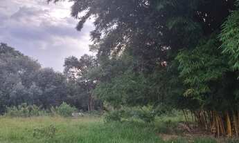 Imagem 5: Terreno em Boituva - 2.300 Metros - Bairro dos Ipês - Estrada Municipal Boituva