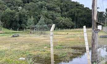 Imagem 4: Terreno em Urubici - 31x33 com 1023 m³