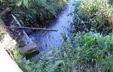 Imagem 2: VENDO SÍTIO AFONSO CLÁUDIO, ES