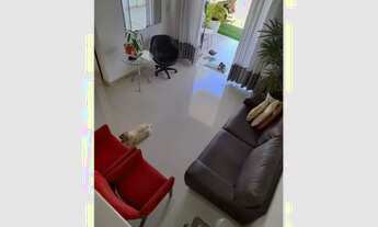 Imagem 3: Casa para alugar 4 quartos, 3 suítes em condomínio no Miragem