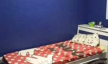 Imagem 4: Dedetização 24hs melhor preço sem que precise sair do local. Jsh