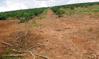Imagem 5: FAZENDA A VENDA EM SÃO ROQUE DO CANAÃ, ES