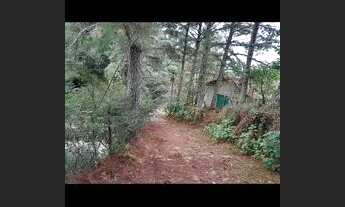 Imagem 3: Vendo Sítio Vista Cinematográfica