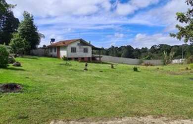 Imagem 3: Chácara/2.500m² á 24min Shopping S.José/30min Curitiba/ R$400mil