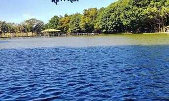 Imagem 6: Vende-se pesqueiro a 30 km de Goiânia