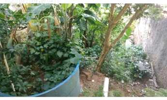 Imagem 6: Santo André - Casa Padrão - Jardim Santo Antônio