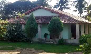 Imagem 2: Alugo chácara Casa com 2 dormitórios