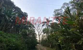 Imagem 6: Excelente terreno na Serra da Cantareira, documentação em ordem e estuda proposta