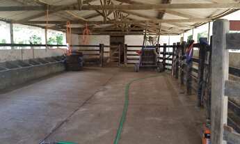 Imagem 2: Fazenda de 45 hectares casa 3 quartos Cidade de esmeraldas