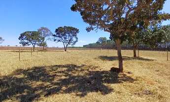 Imagem: Chacara Guapó até 24x cartões!! Energia/cercada/porteira/Só