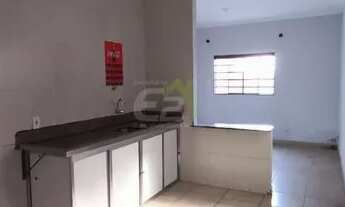 Imagem 6: Locação de Casas / Padrão na cidade de São Carlos