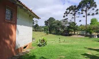 Imagem 4: Chácara/2.500m² á 24min Shopping S.José/30min Curitiba/ R$400mil