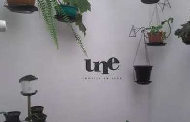 Imagem 6: Casa em otimo estado de conservação