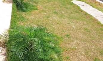 Imagem 4: Feriadão em Barra de Jacuipe